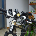Rahmen-Platzierungs-Fahrrad-LED-Licht Bestes verkaufendes 800lm LED-Fahrrad-Licht mit hinterem Licht